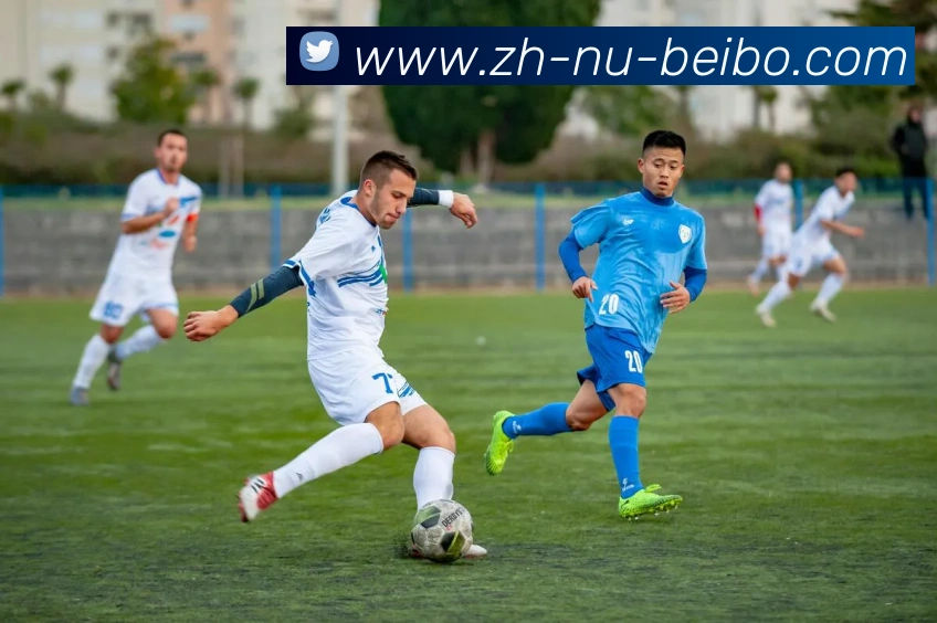 多媒体互动体验